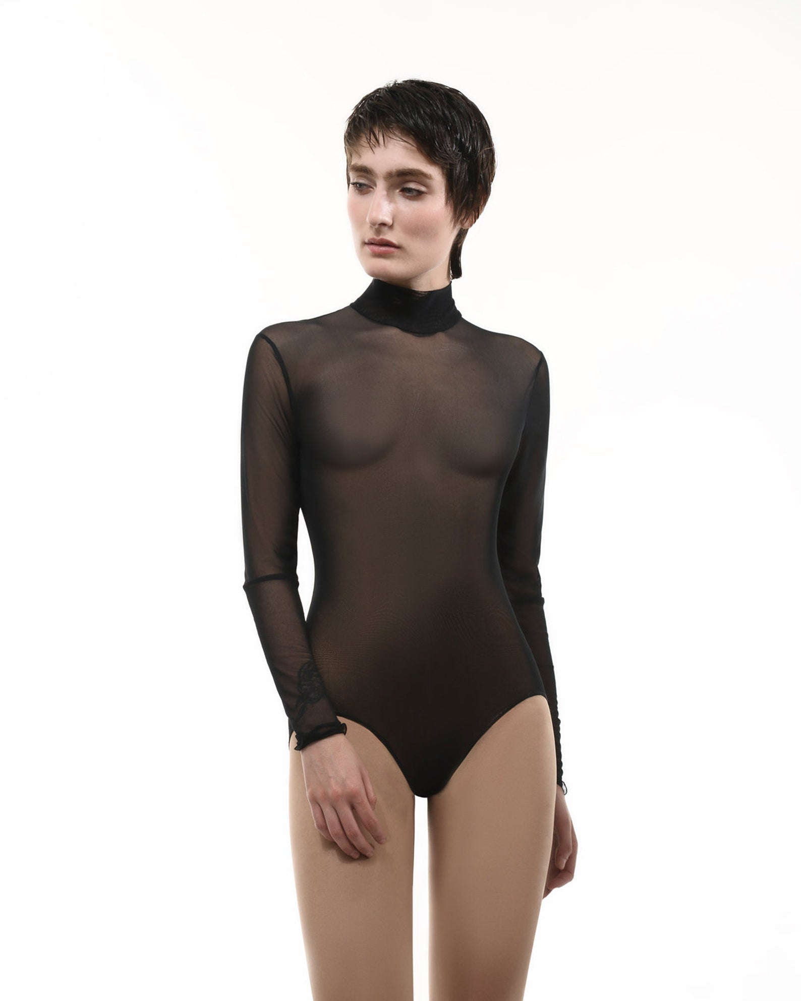 Black tulle sheer turtleneck - Main Image